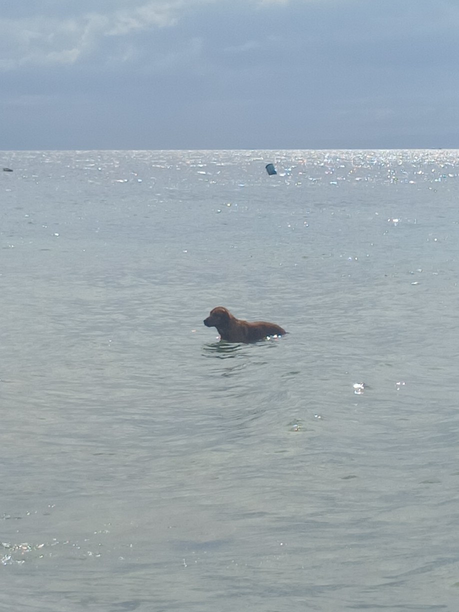 모알보알 밖2.jpg