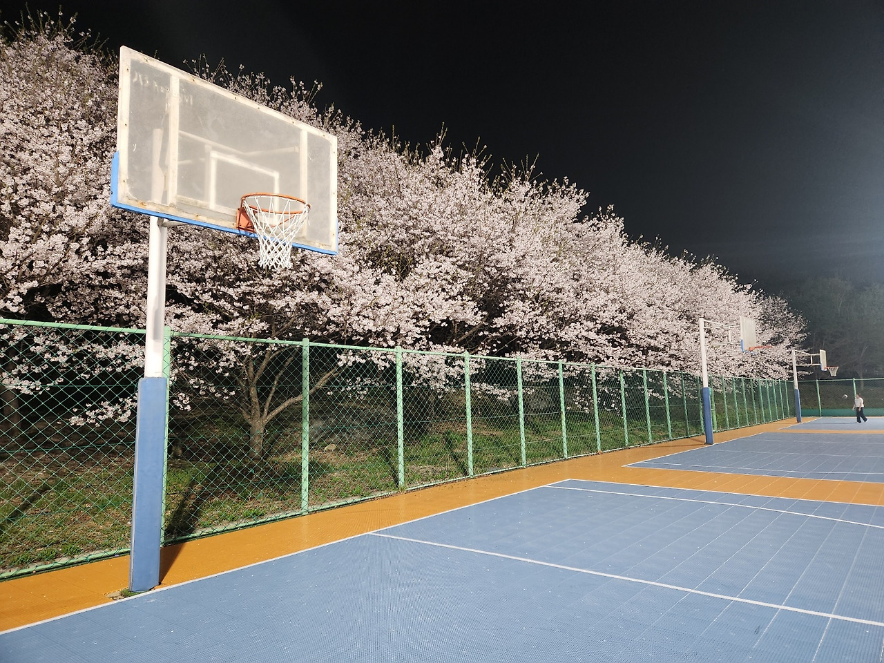 선문대 농구 골대.jpg