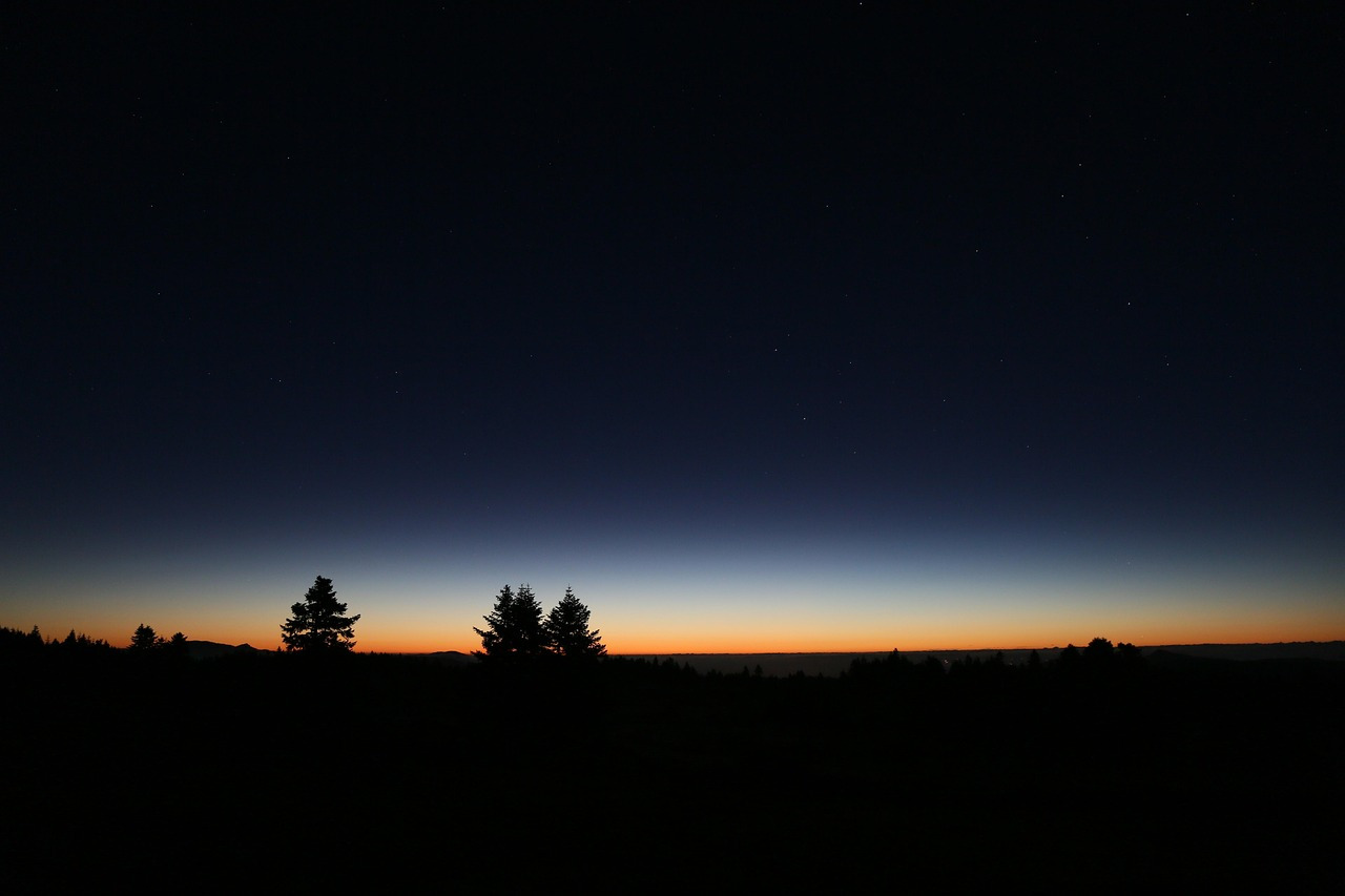dawn-3604146_1280.jpg