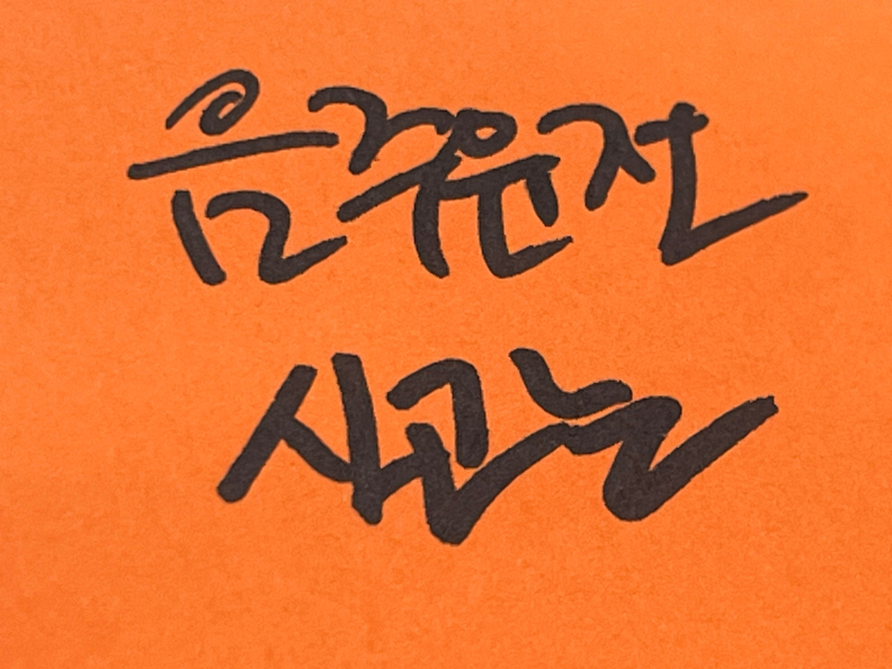 음주운전_사고 (1).jpg