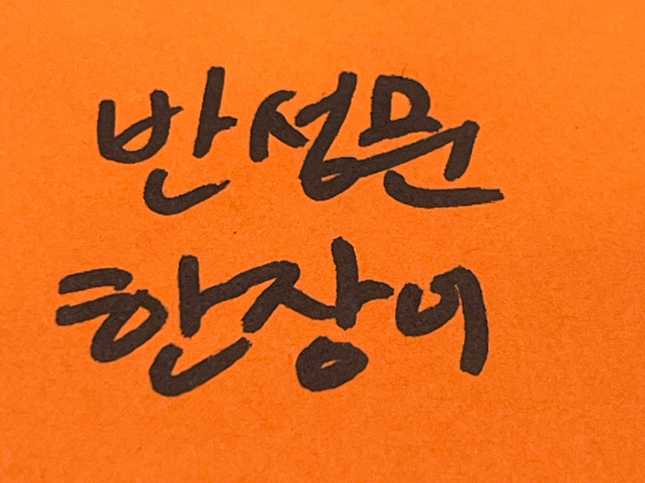 음주운전반성문 (1).jpg