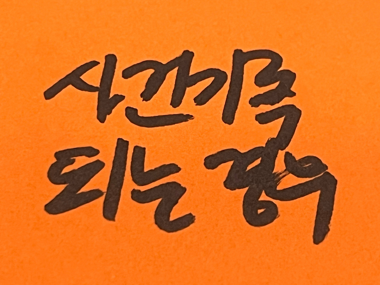 음주운전반성문 (2).jpg