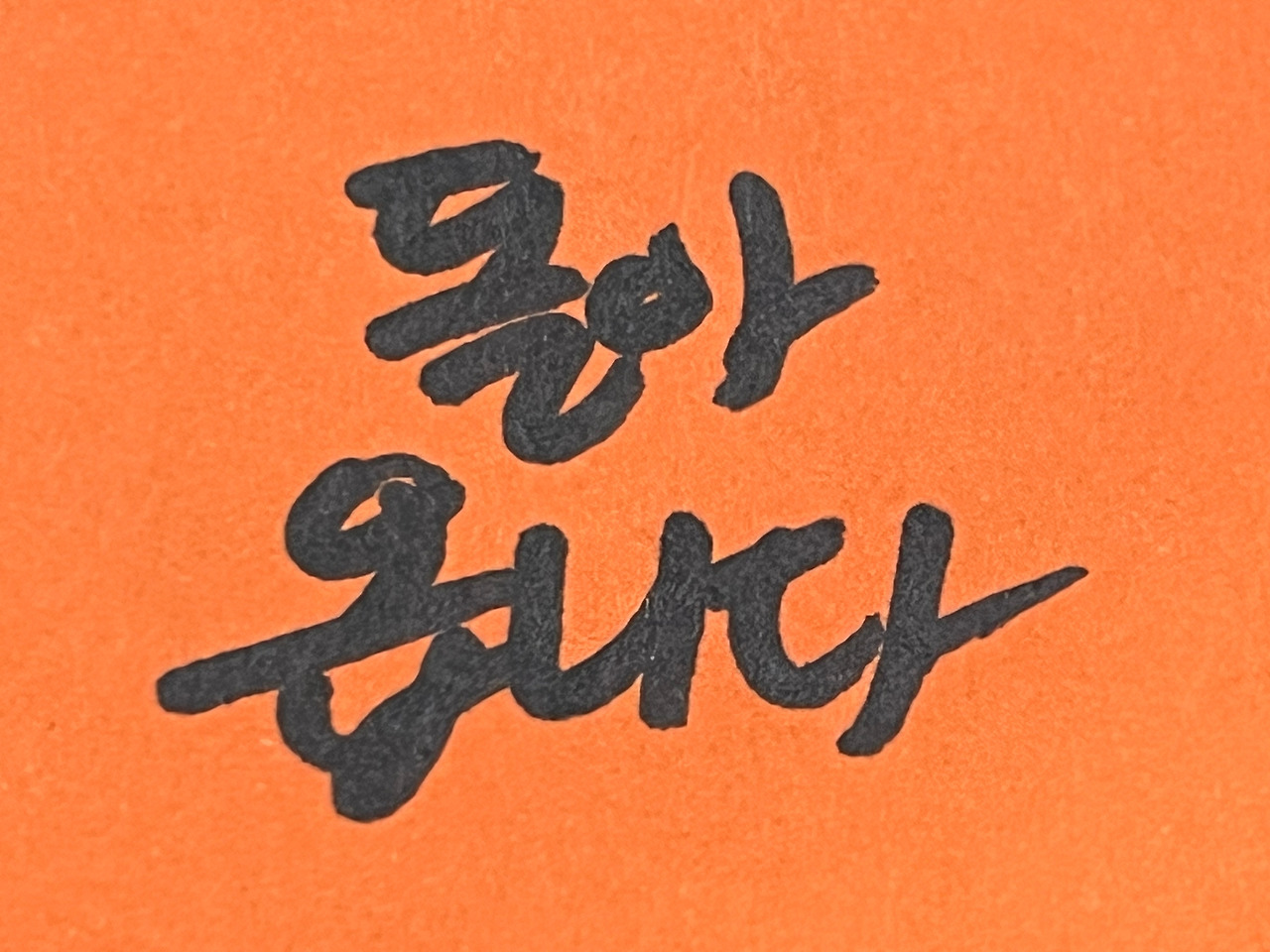 킥보드음주운전 (6).jpg