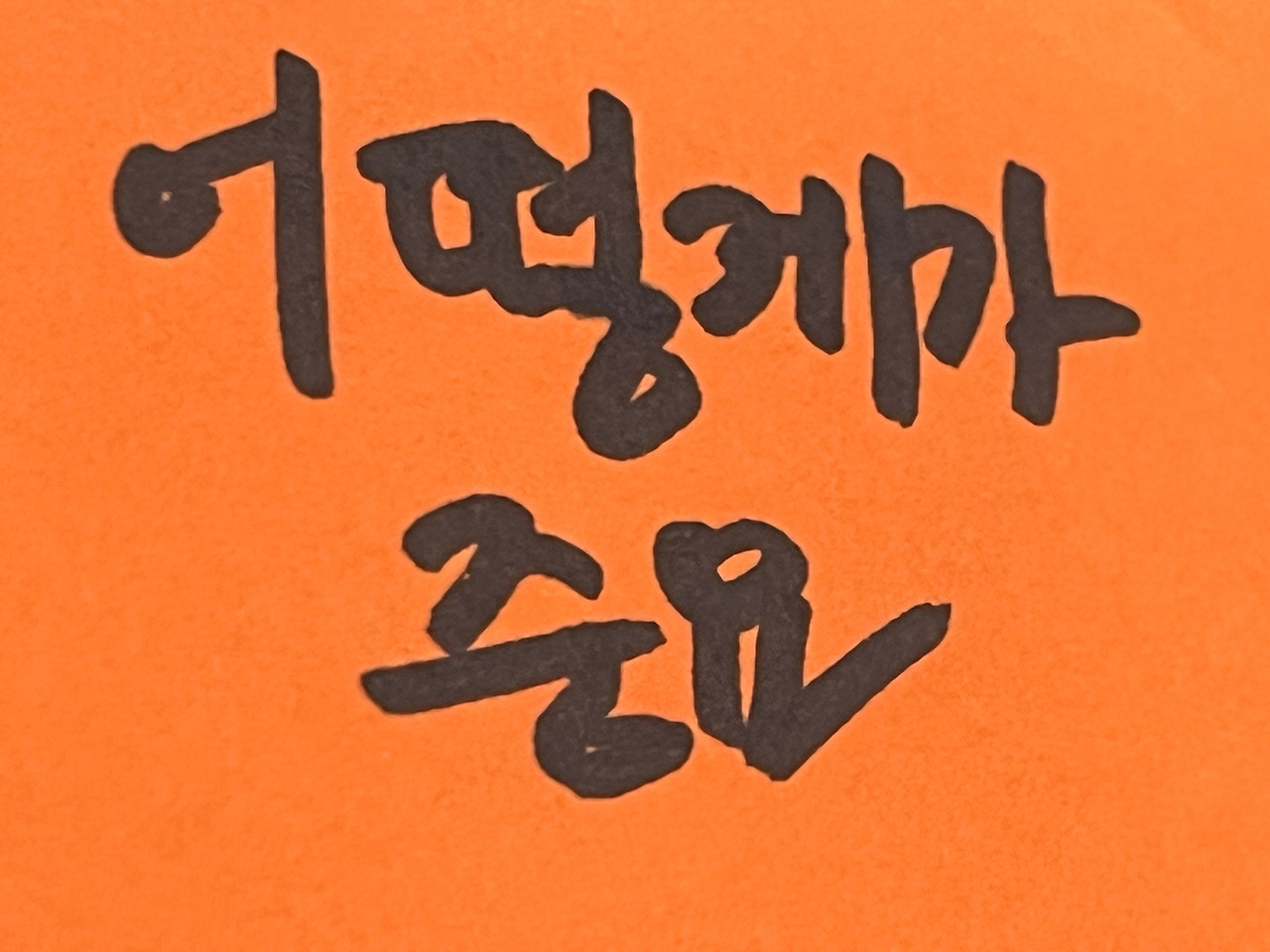 음주운전_사고 (3).jpg