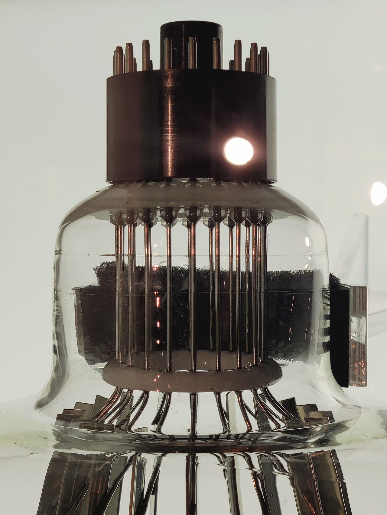 12중성미자 2.jpg