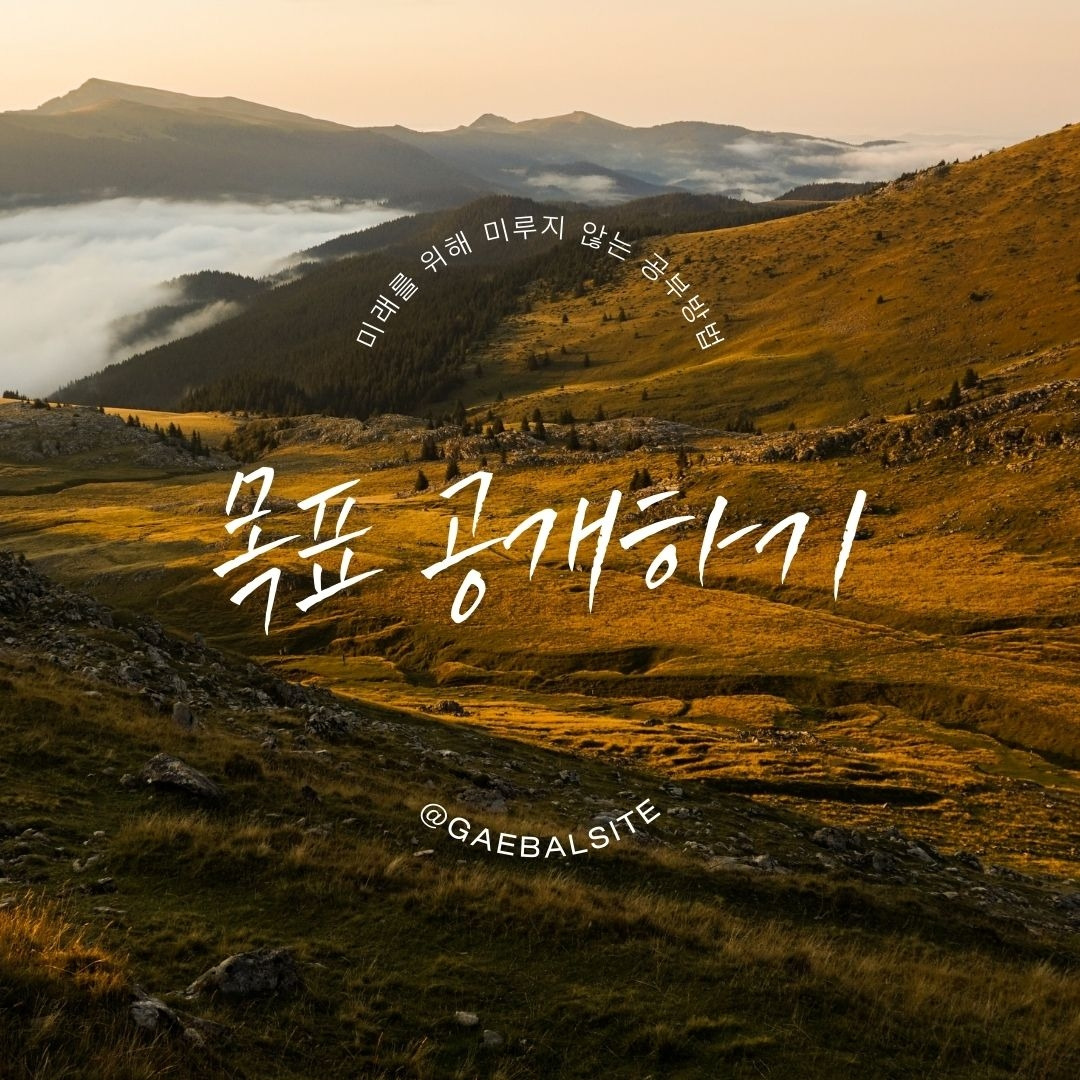 @gaebalsite (16).jpg