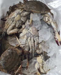 WhatsApp 이미지 2025-07-23, 07.30.01_3032efd3.jpg