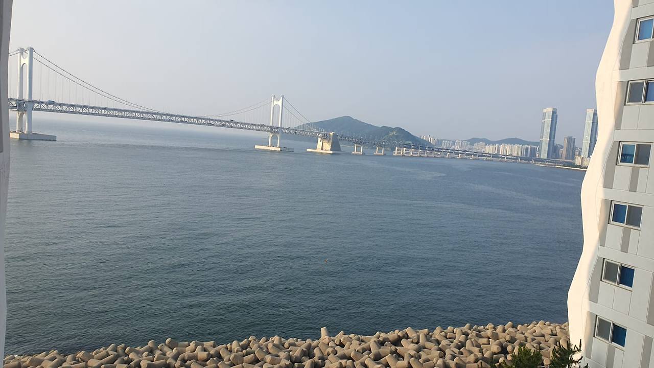 WhatsApp 이미지 2025-07-16, 11.46.40_fa13af33.jpg