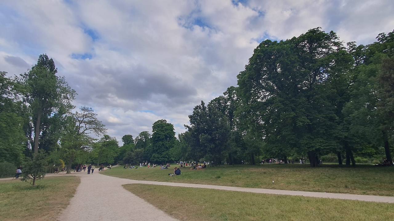 WhatsApp 이미지 2025-06-02, 15.00.00_583a6a6b.jpg