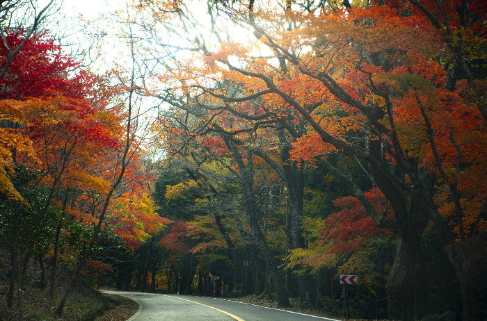 해남 대흥사 (1).jpg