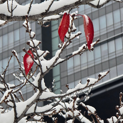 KakaoTalk_20241127_121457681_01 (1).jpg