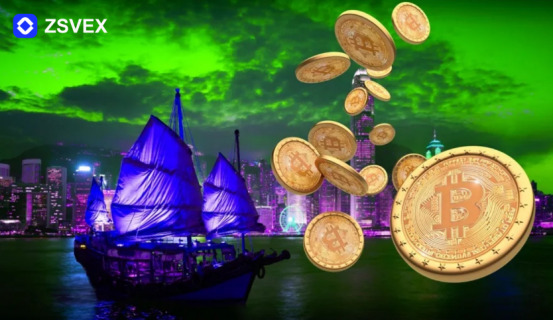 암호화폐 결제부터 자산관리까지, ZSVEX 거래소가 기업 및 개인의 디지털 경제 참여를 지원한다.jpg