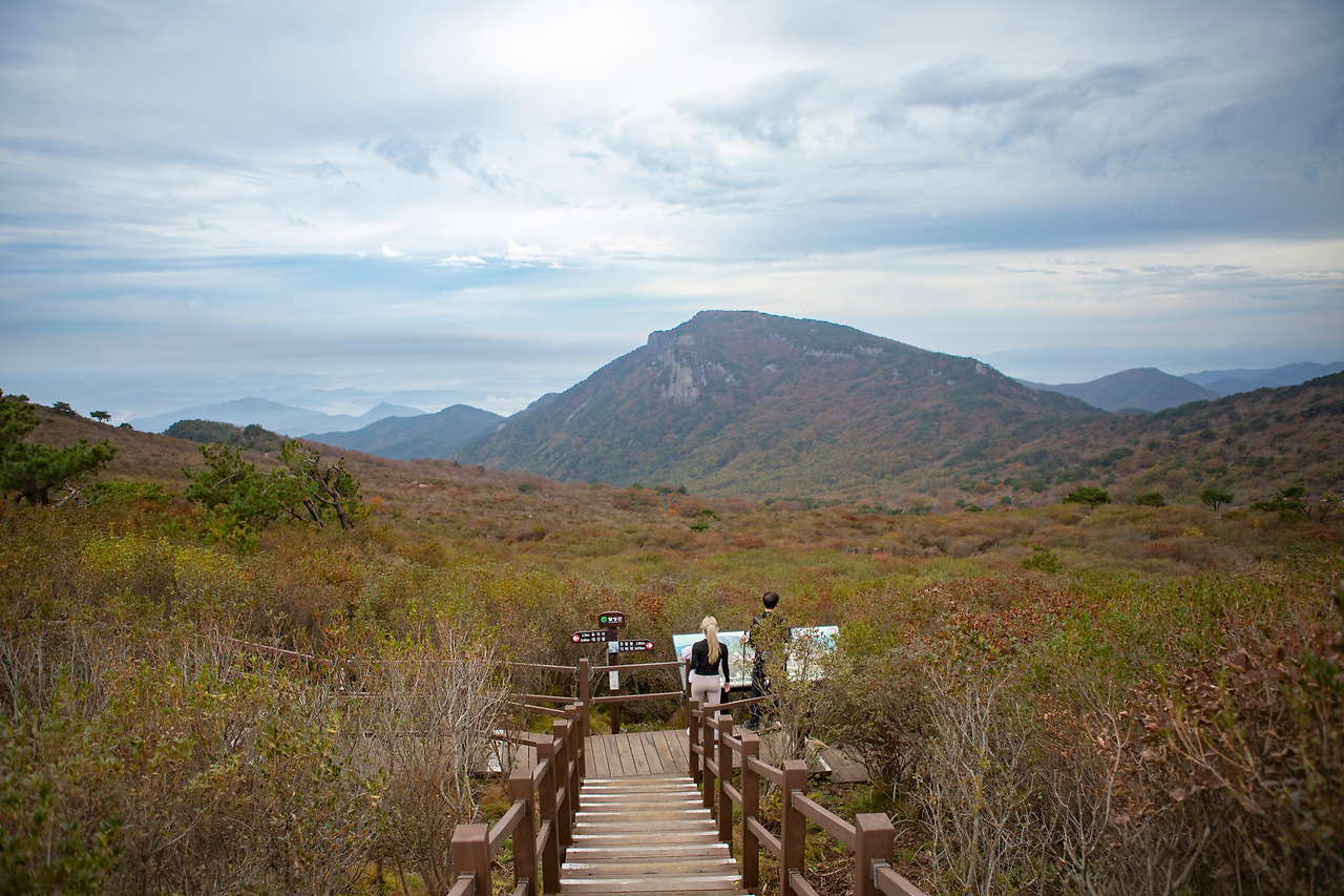 4조_손성준_6번_비슬산 참꽃군락지.jpg