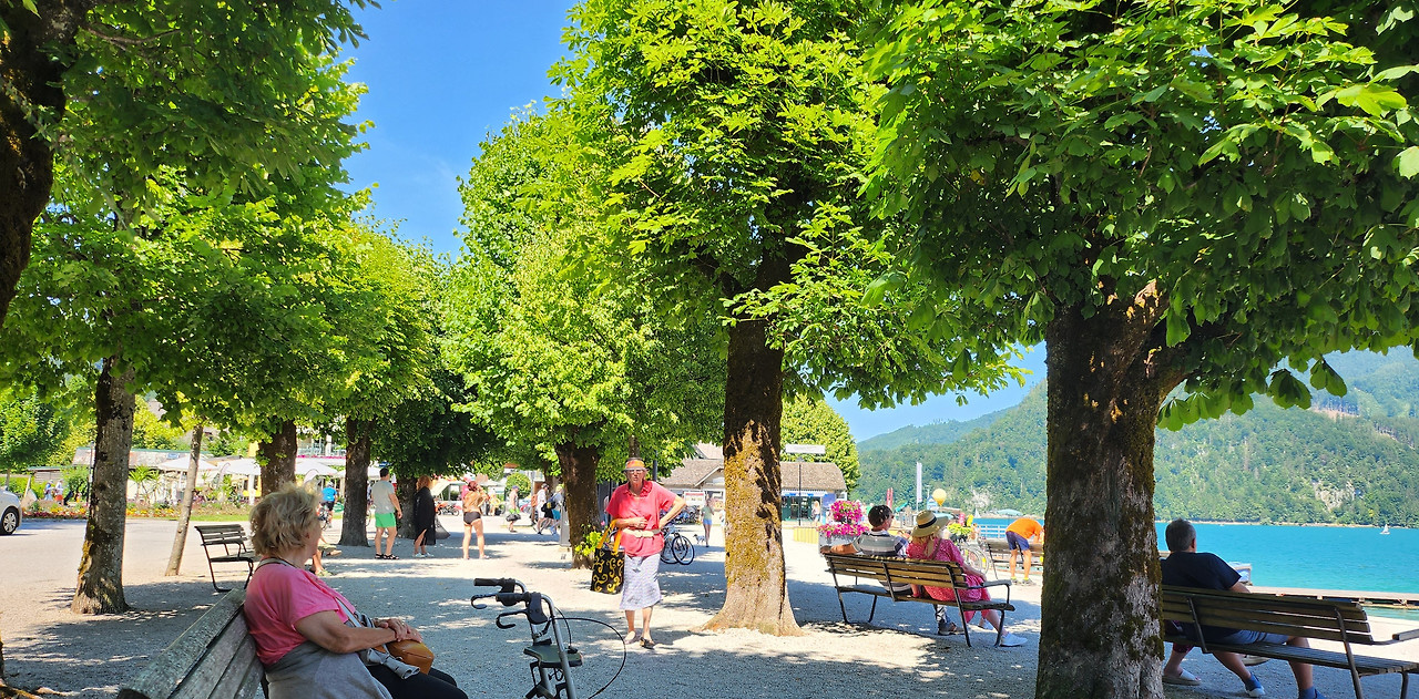 20250622_151204 - 복사본.jpg