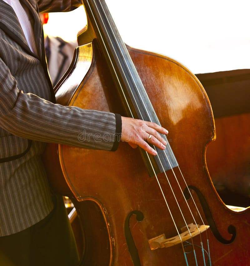 musician-playing-contrabass-27480716.jpg