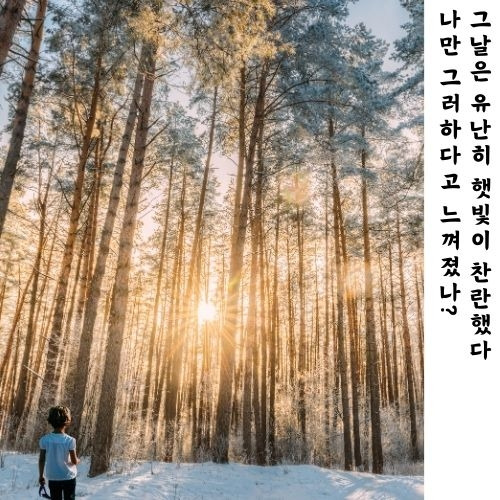 그날은 유난히 햇빛이 찬란했다.jpg