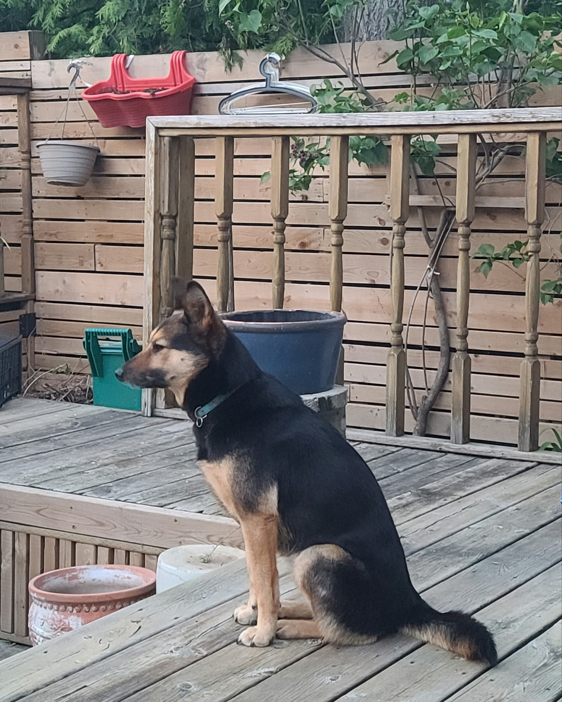 그저 함께 하는 것.jpg