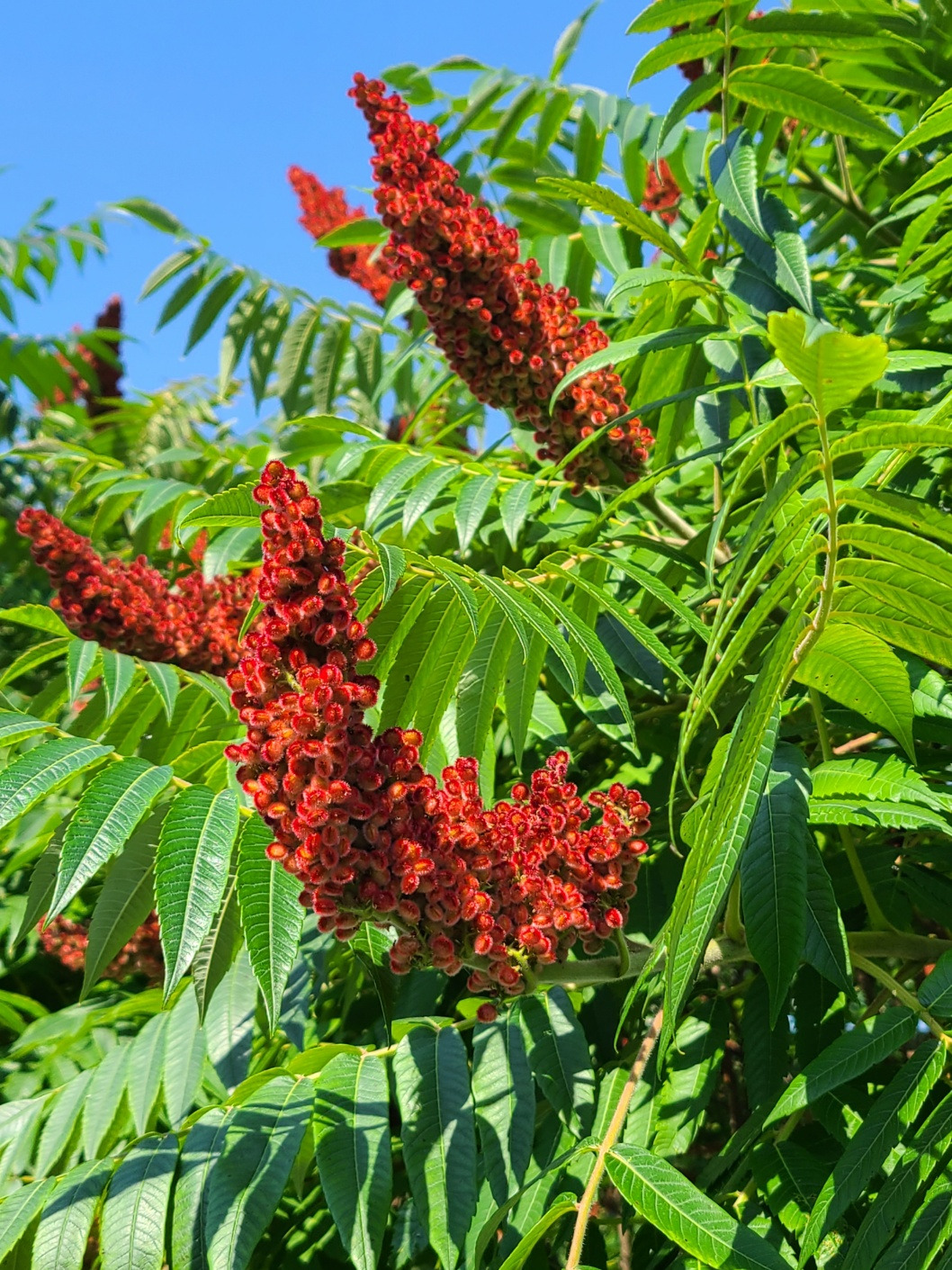 샤워하는 도시.jpg