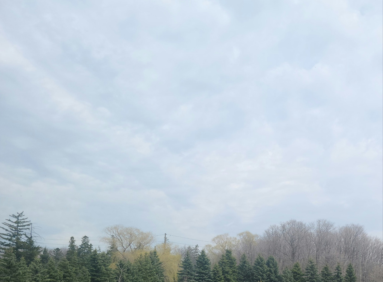 가볍게 날아.jpg