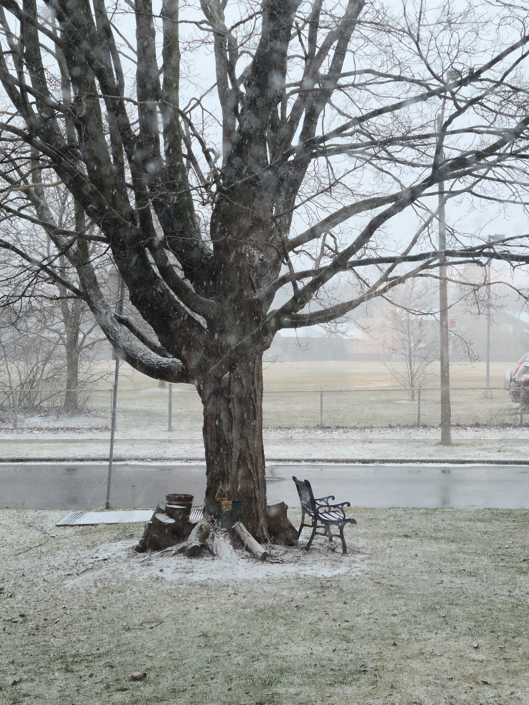 4월의 눈송이.jpg