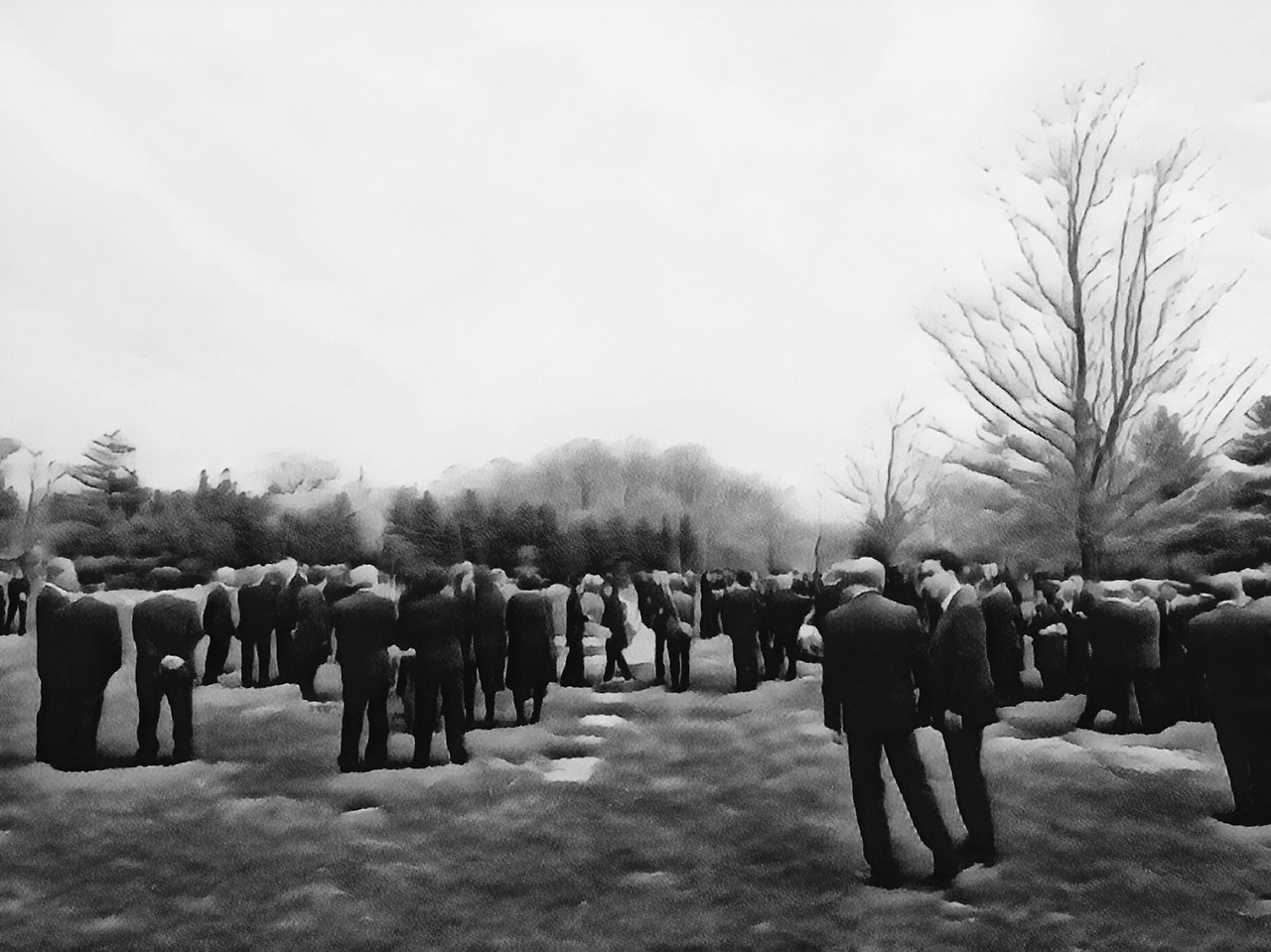 검은 개미들.jpg