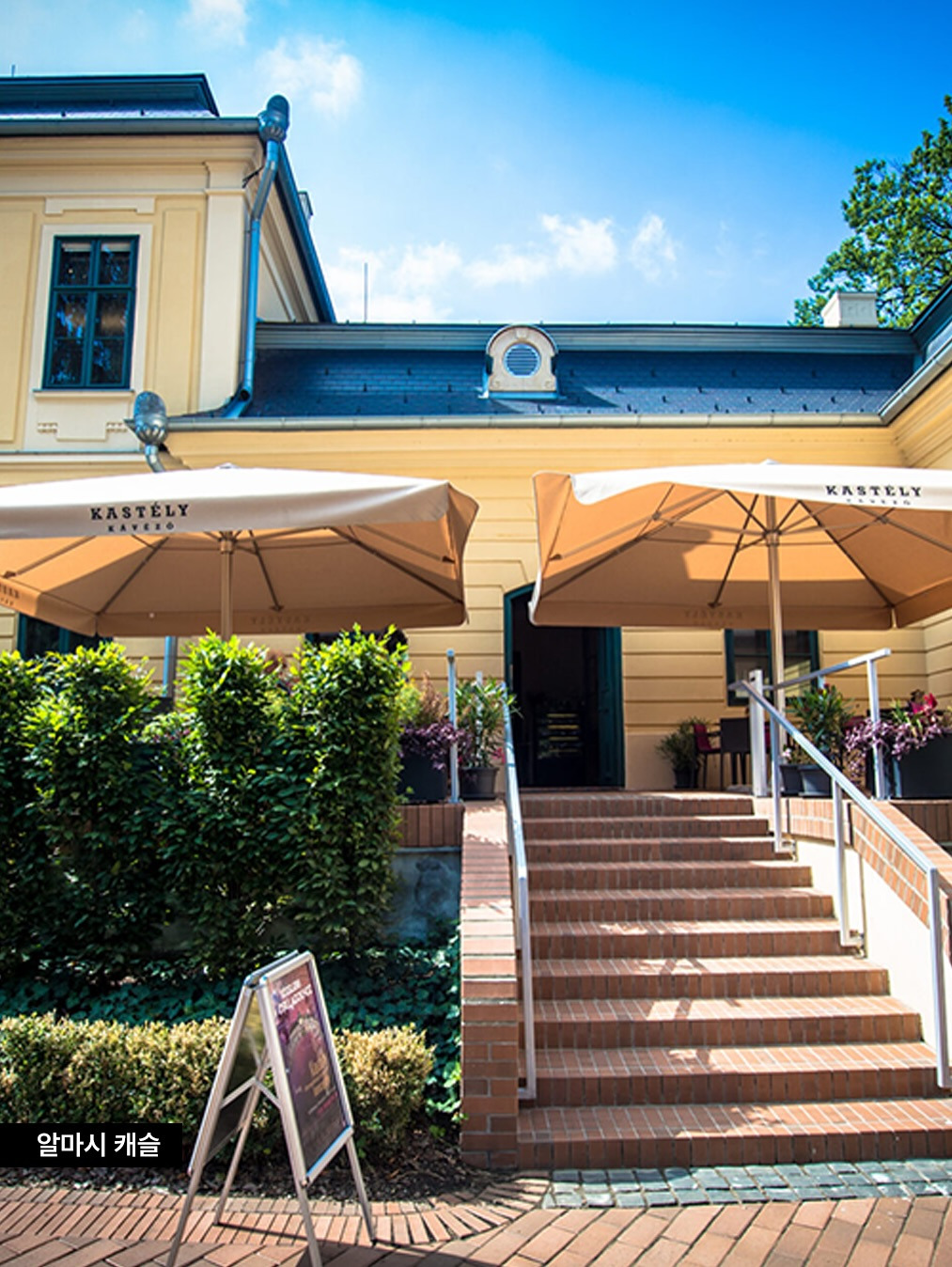 The 2025 Nobel Prize laureate in literature_18.jpg