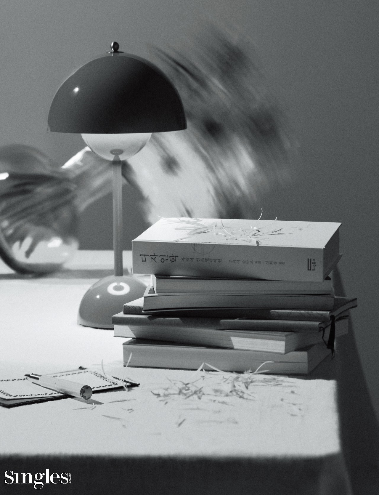 520895110_29-338 (1).jpg