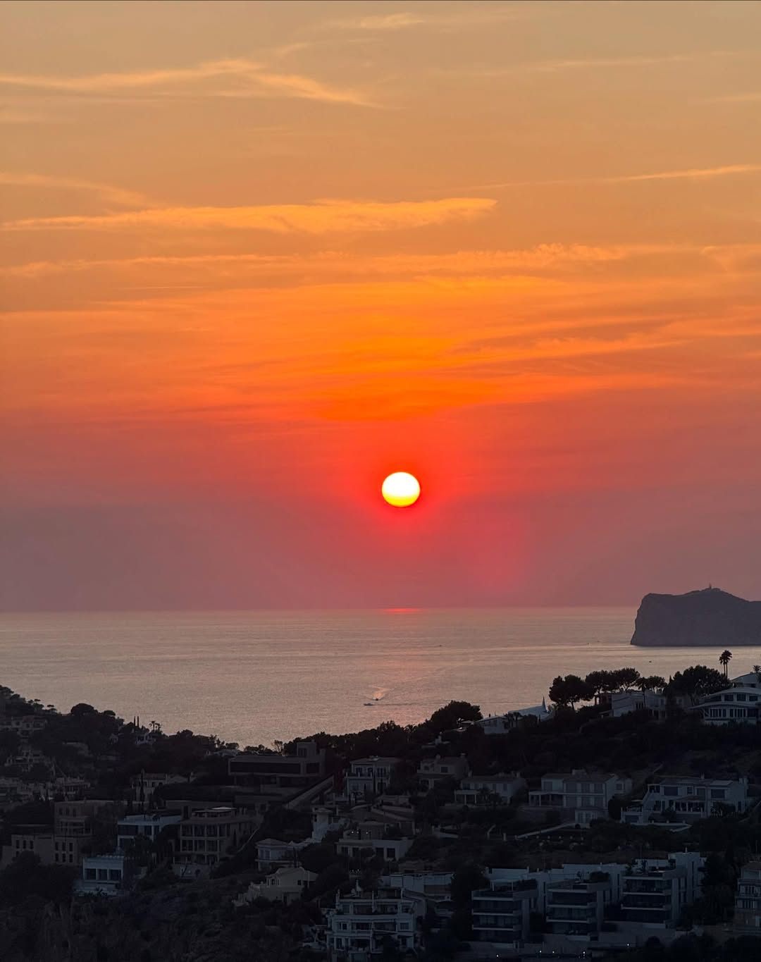 273306642_summer club lemontini girli (1).jpg