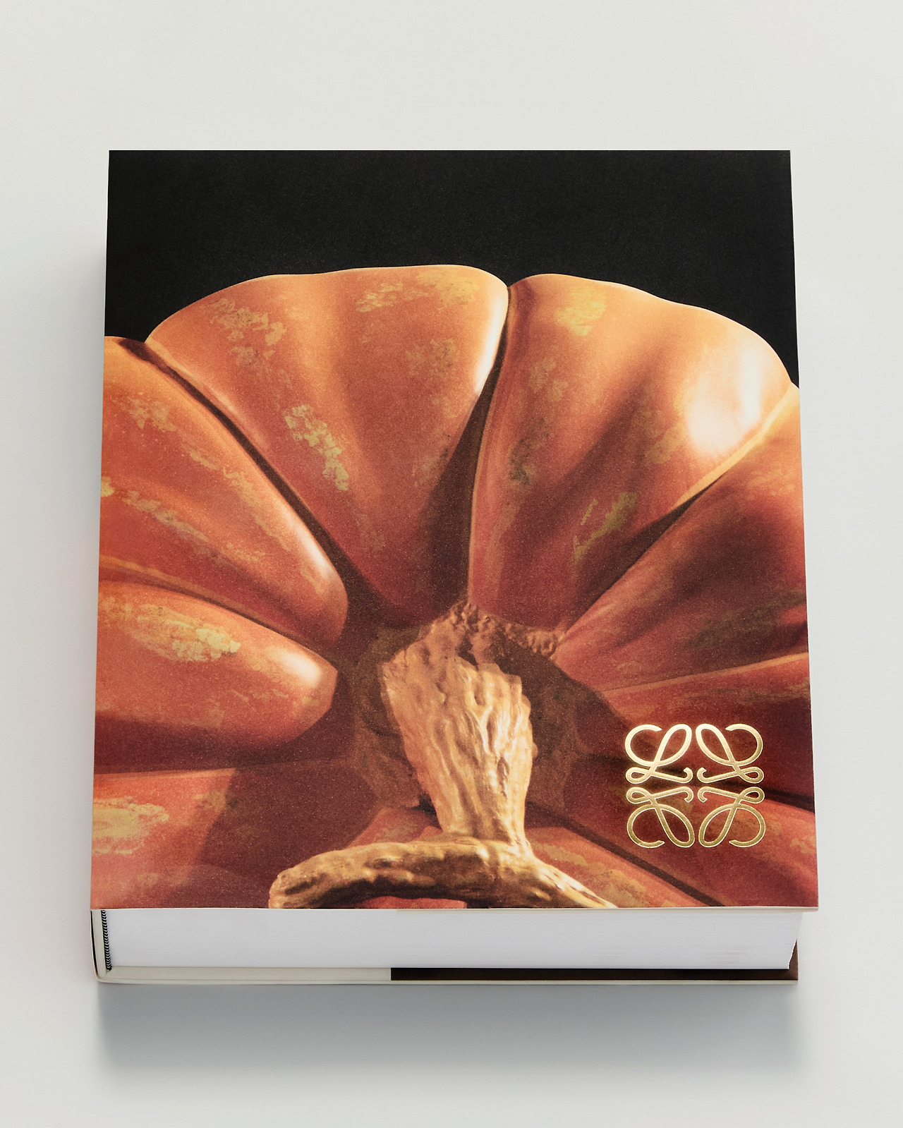 71799559_1157962775_LOEWE_2024_10th_ANNIVERSARY_BOOK_RGB_UNCROPPED_4X5_00005.jpg