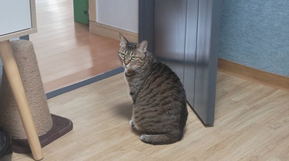 카지노 쿠폰
