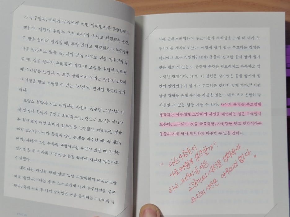 카지노 쿠폰