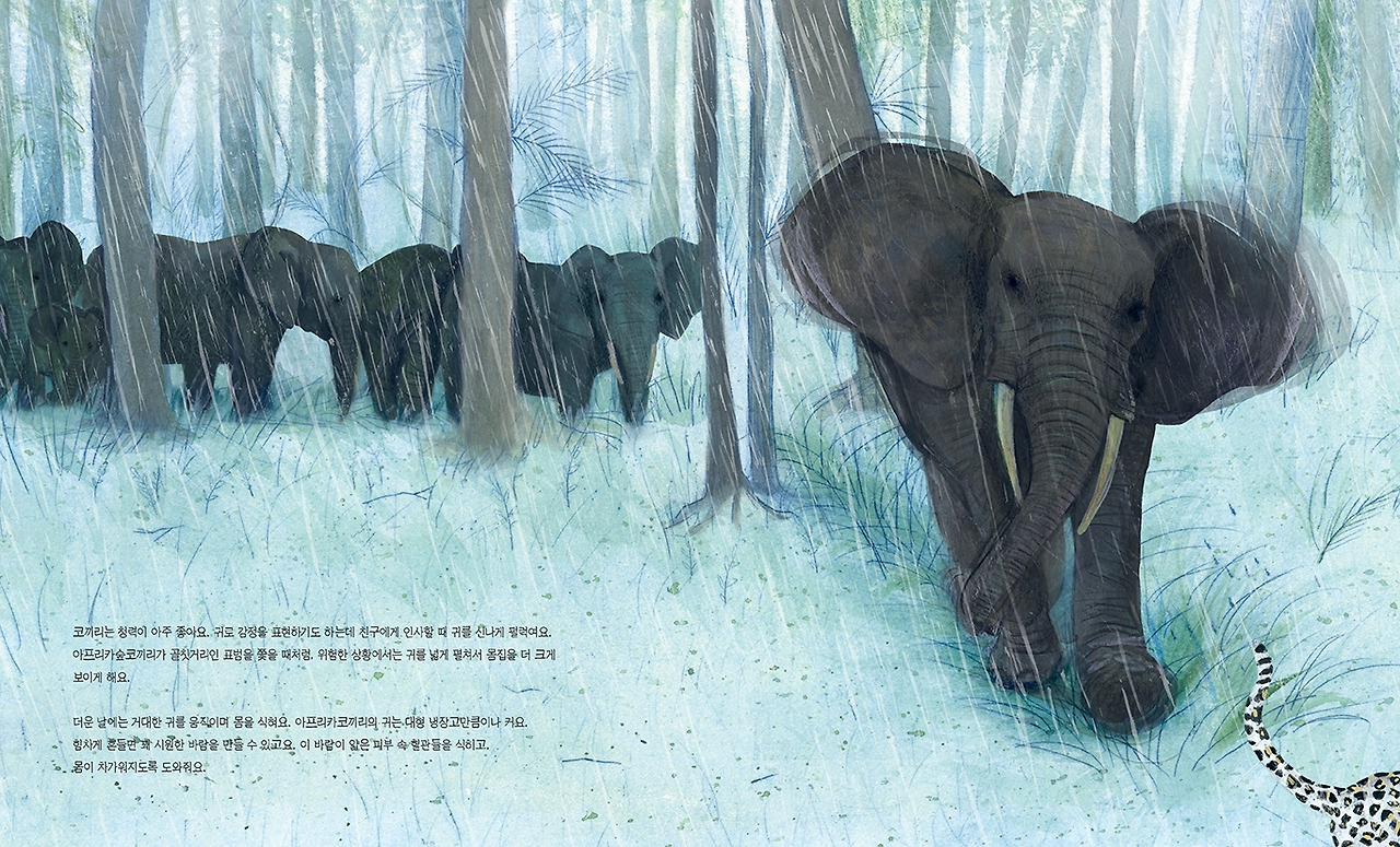 코끼리11.jpg