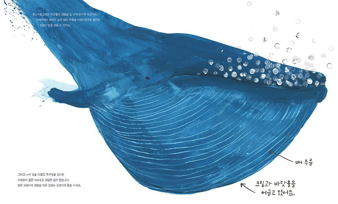 흰긴수염고래_내지14.jpg