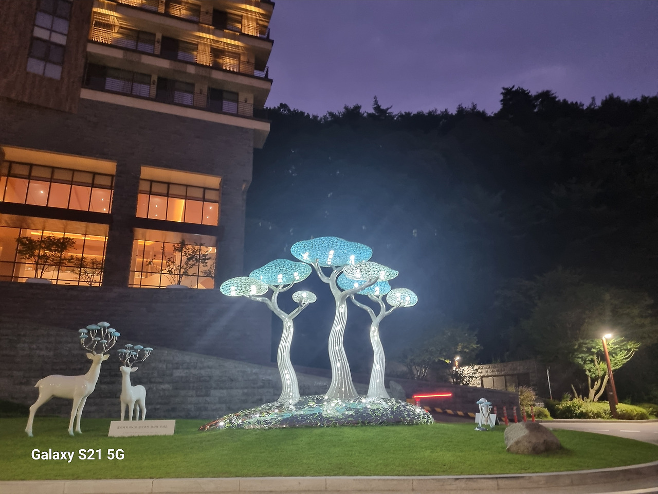 리솜 포레스트.jpg