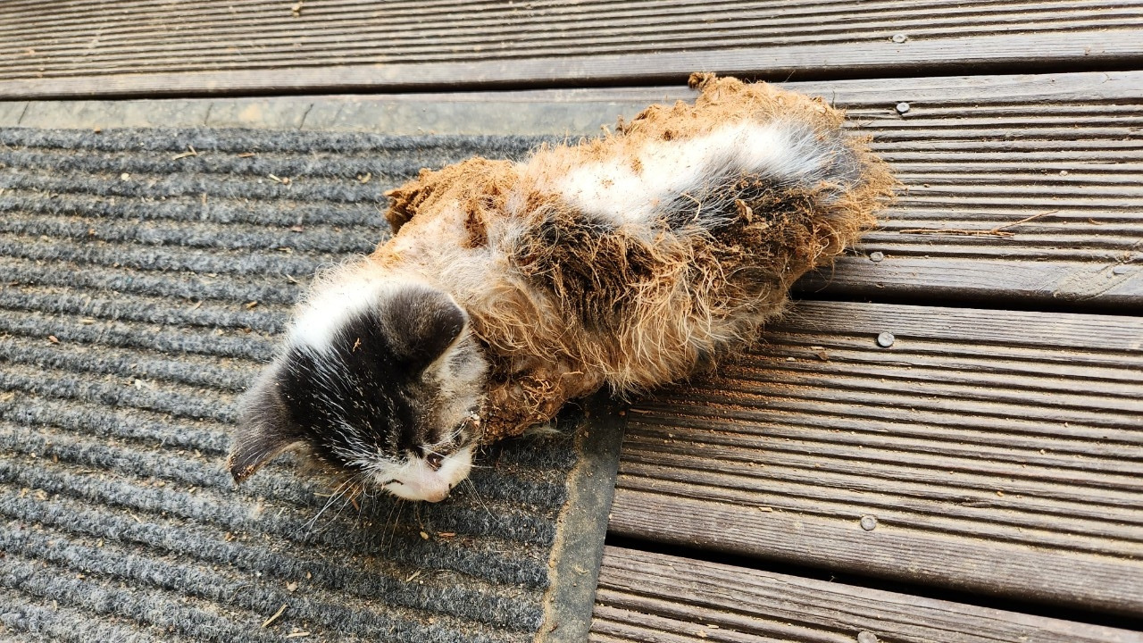 BandPhoto_2023_09_12_17_56_45 (1).jpg