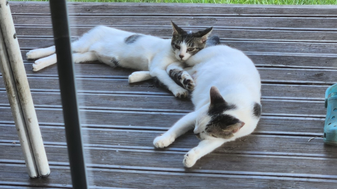 기적이와 함께하는 성장여행 2.jpg