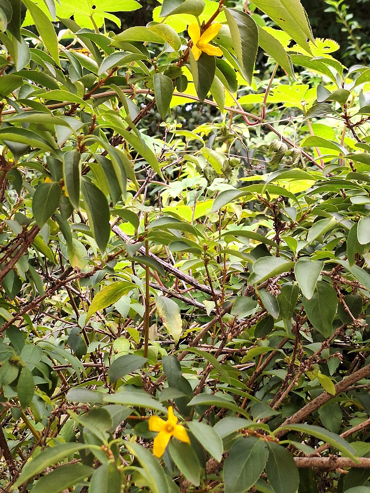 20251010_111228 (1).jpg