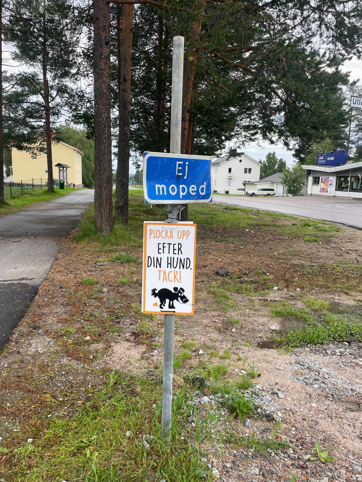 요크목 마지막.jpg