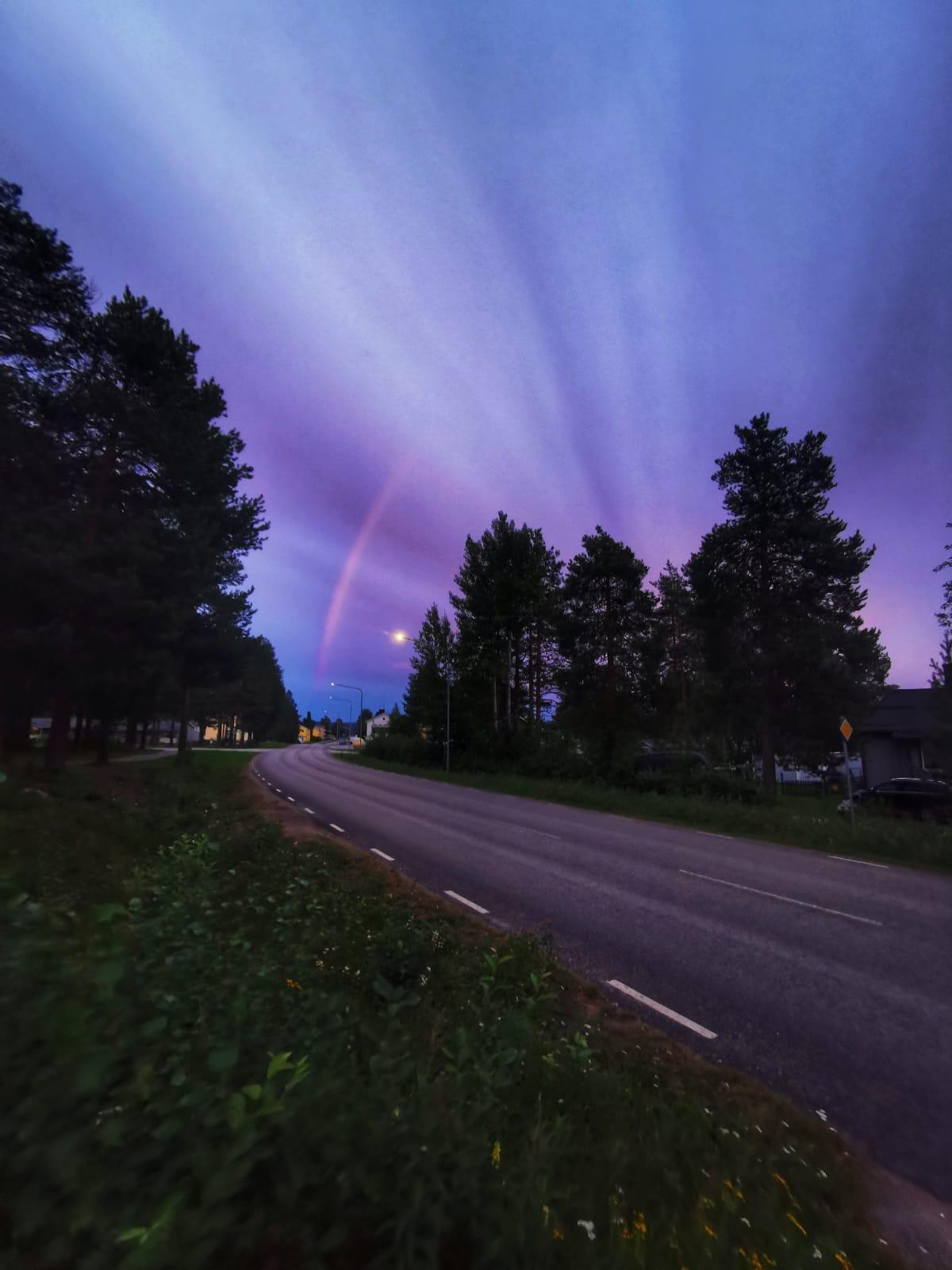 요크목 무지개.jpg