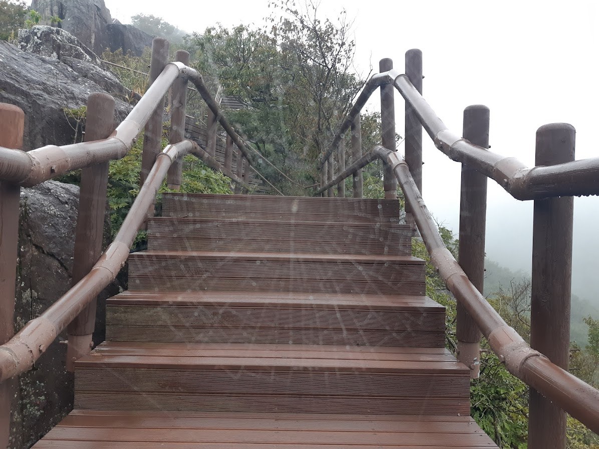 가로막은 거미줄.jpg