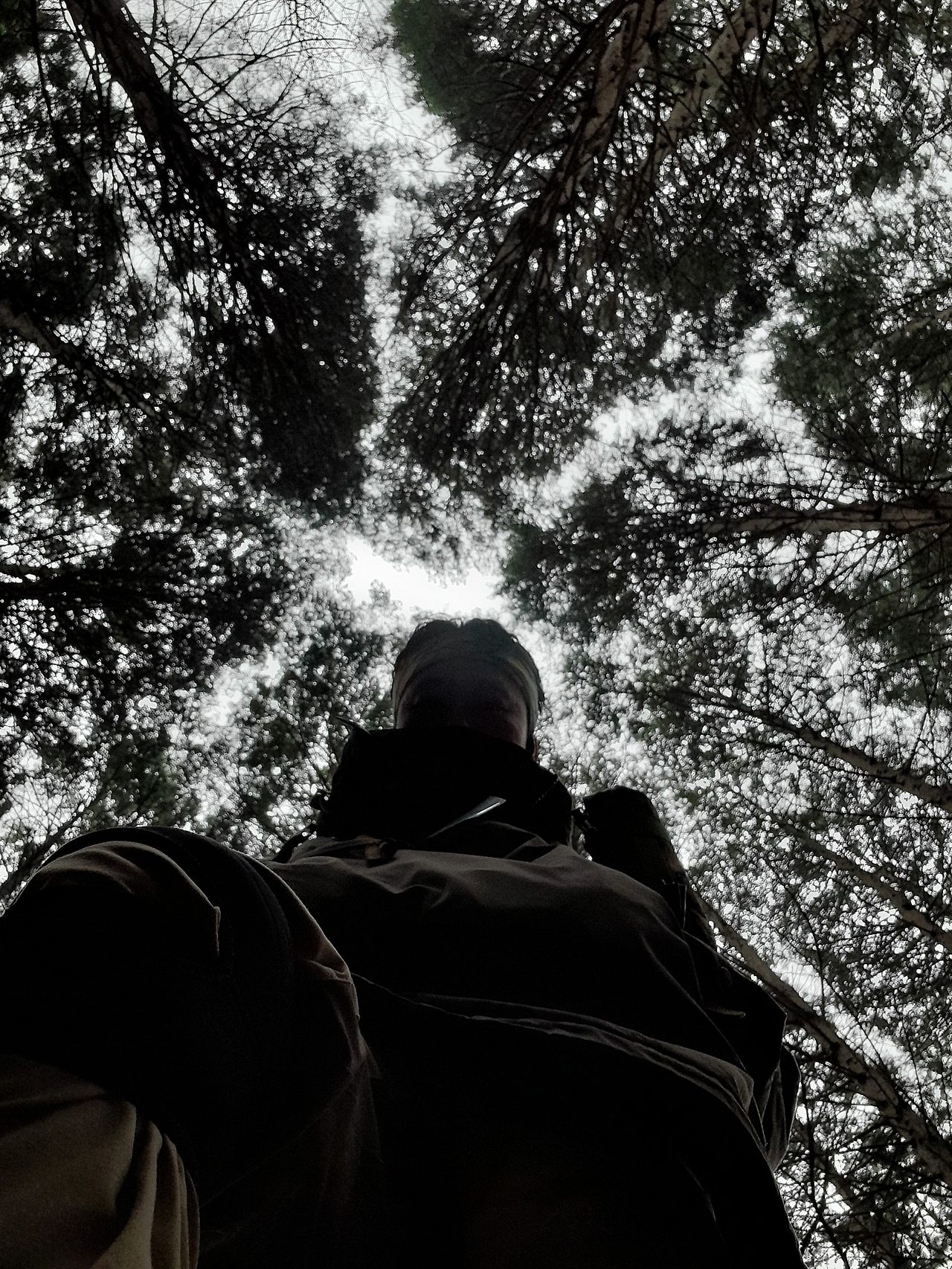 무등산 숲에서.jpg