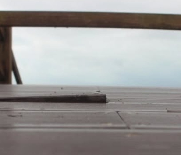 튀어 나와서 다행.jpg