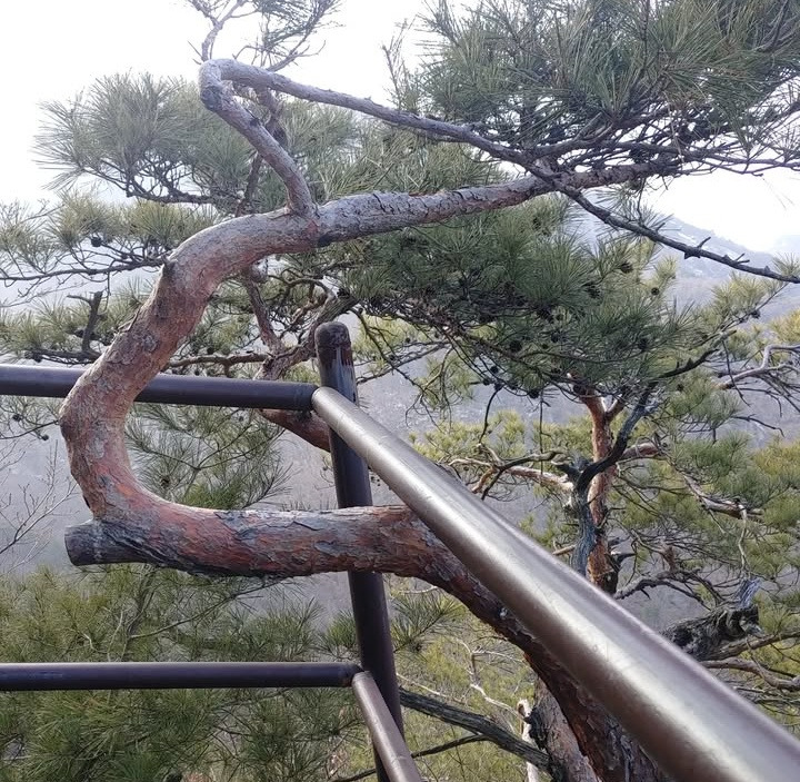 브런치-네멋대로 크거라.jpg