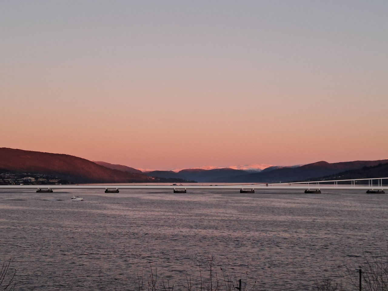 2024sus 동네 다리.jpg