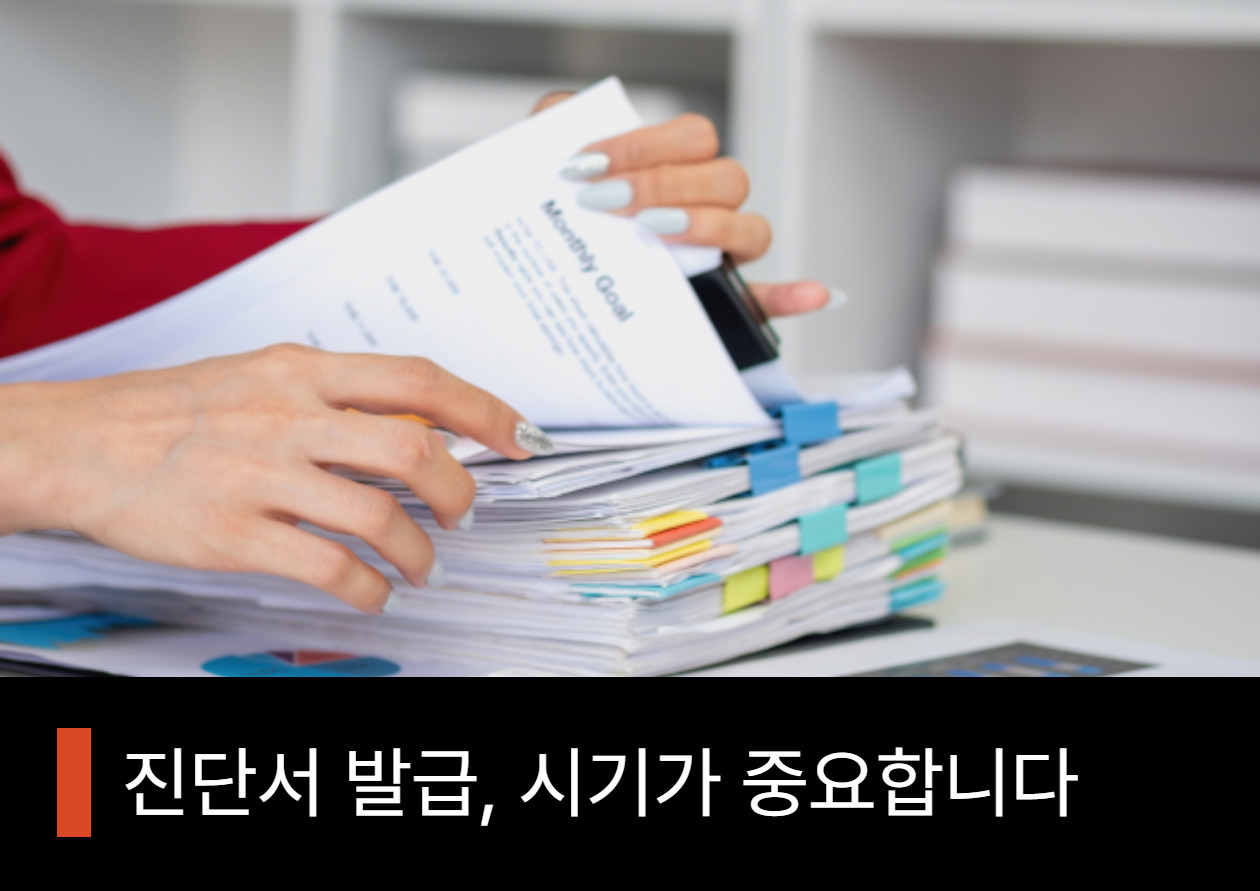 제목을 입력해주세요_-001 - 2025-11-21T154607.643.jpg