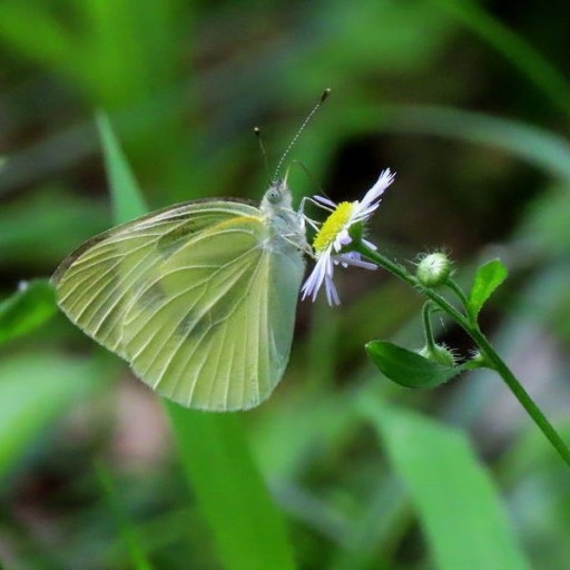 다운로드 (5).jpg
