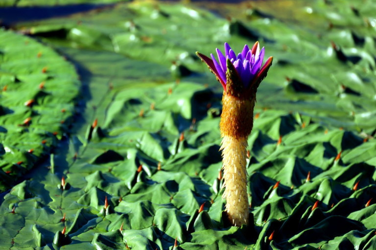 다운로드 (1).jpg