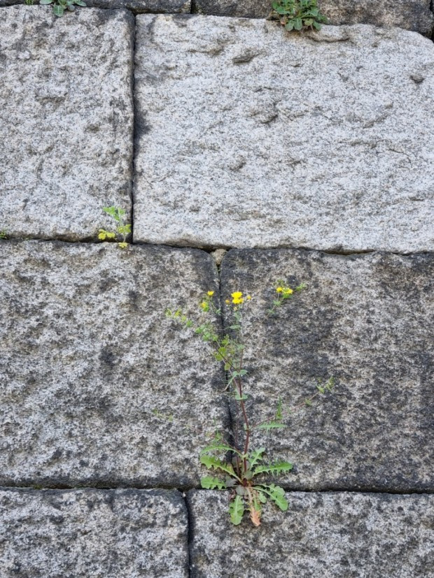 다운로드 (7).jpg