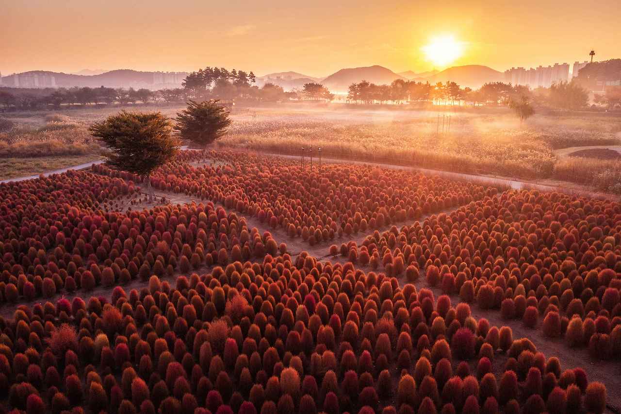 Type1_몽환적인 가을아침_황선영_EyODYk.jpg