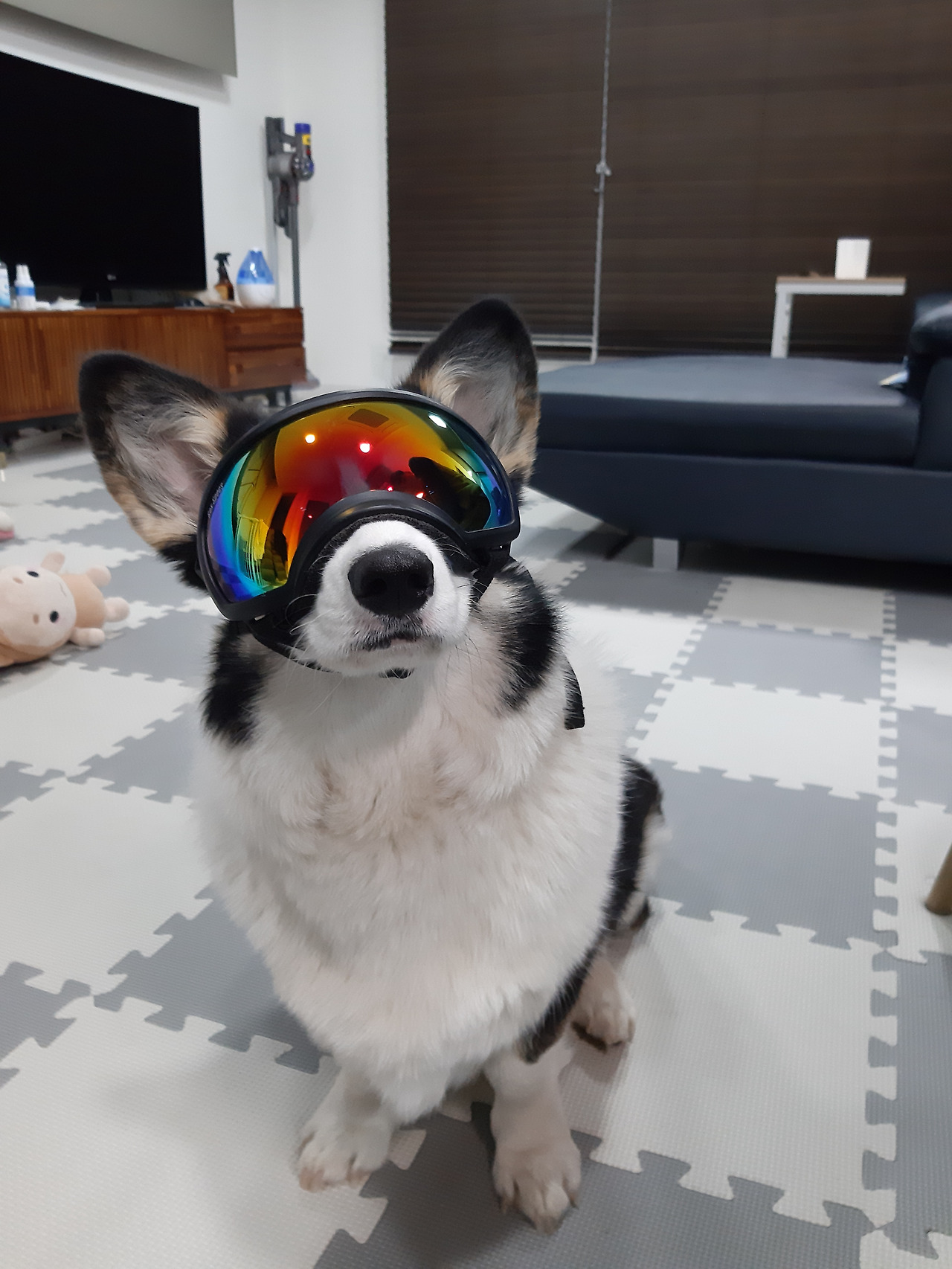 KakaoTalk_20250717_204935523_04 (1).jpg